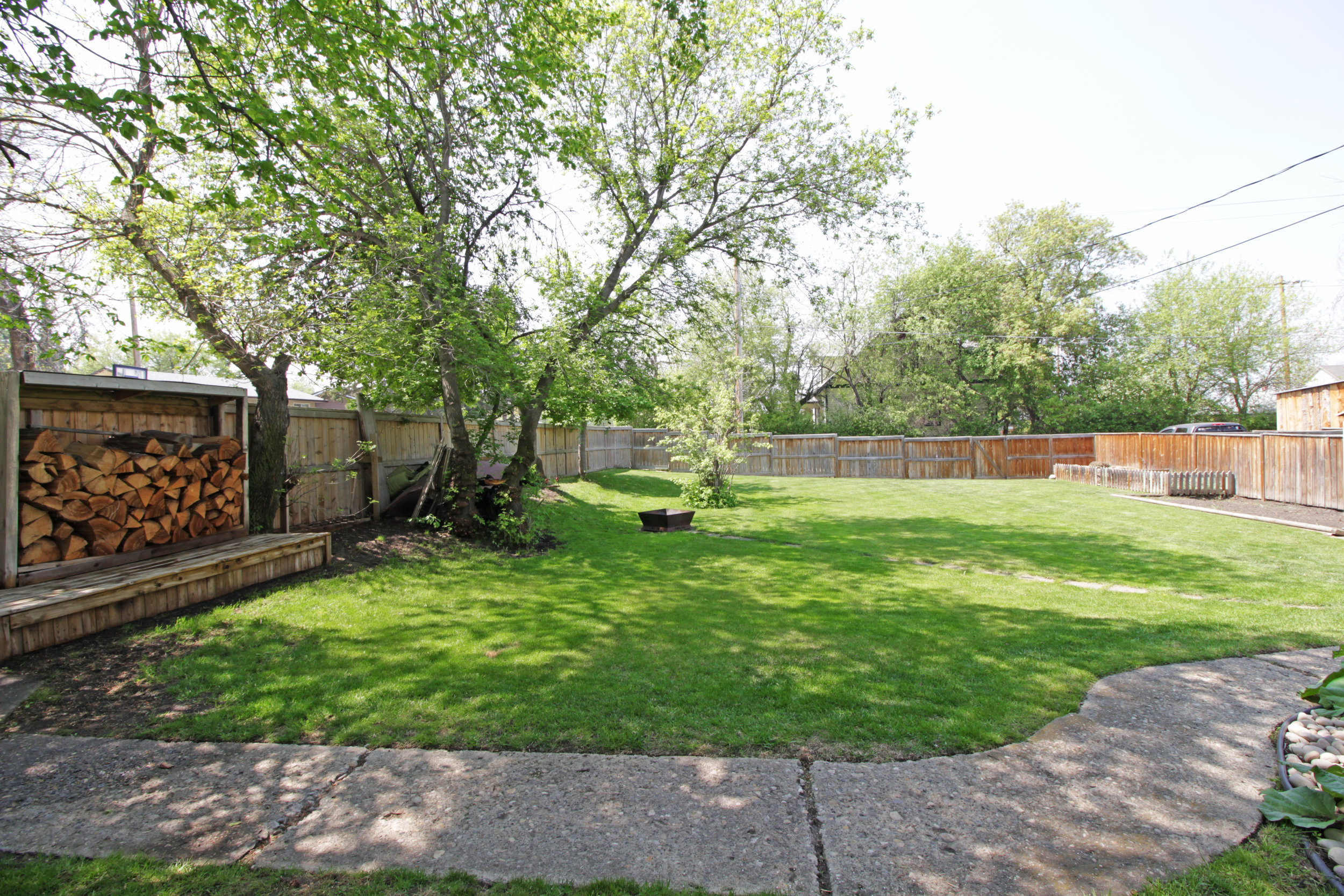 Backyard.jpg