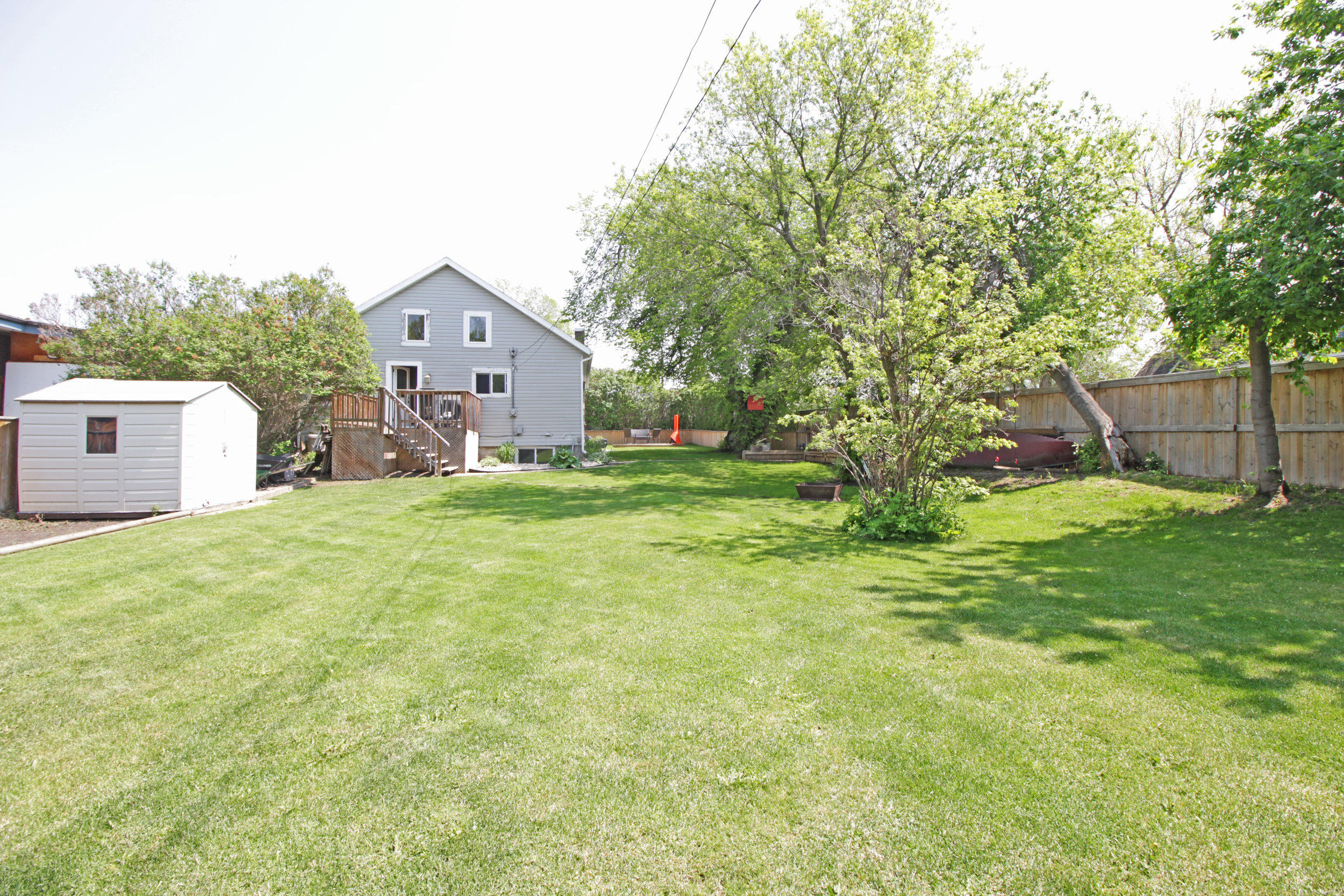 backyard2.jpg