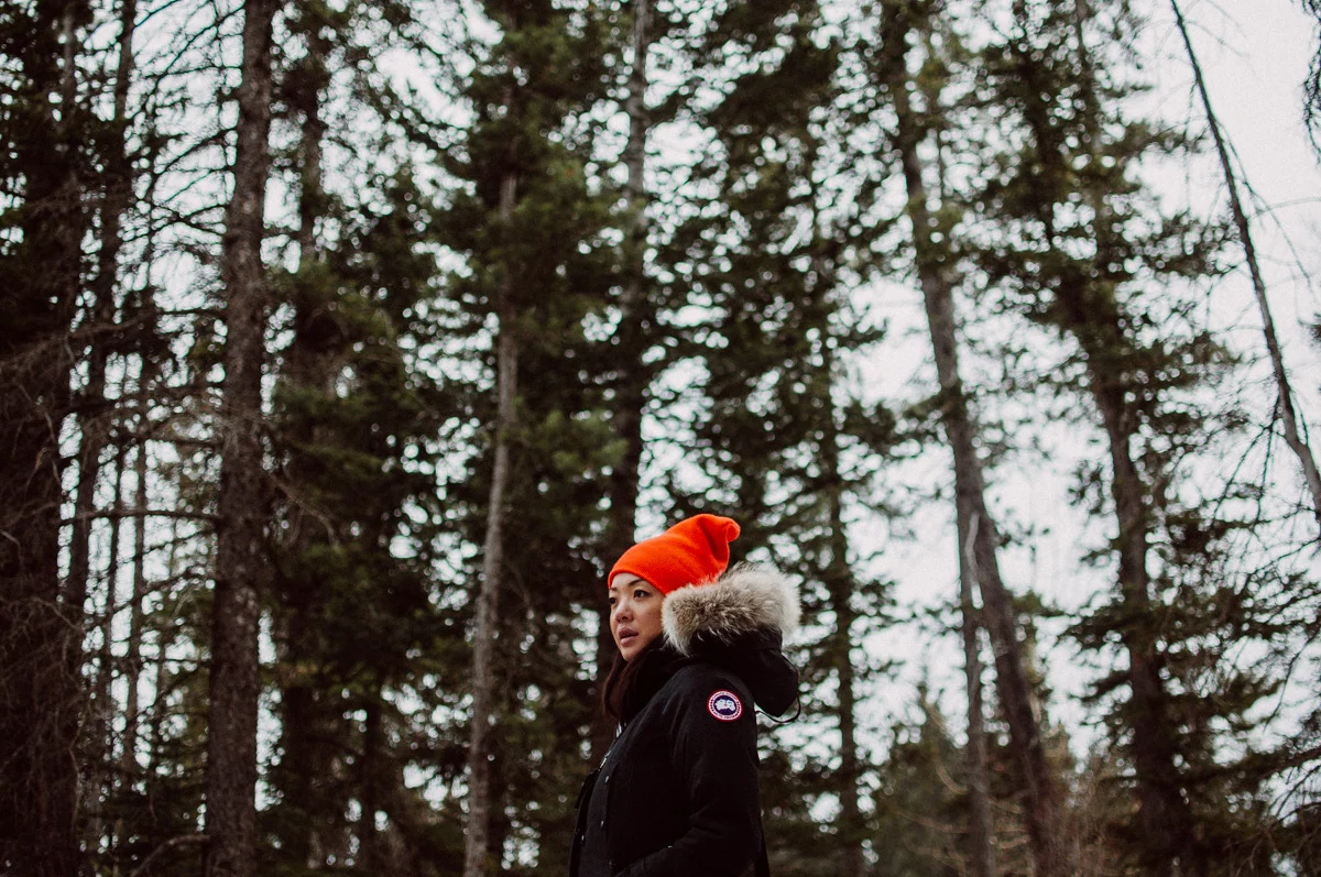 tumblr_n32v8qy7PU1qzp4q4o4_1280.jpg