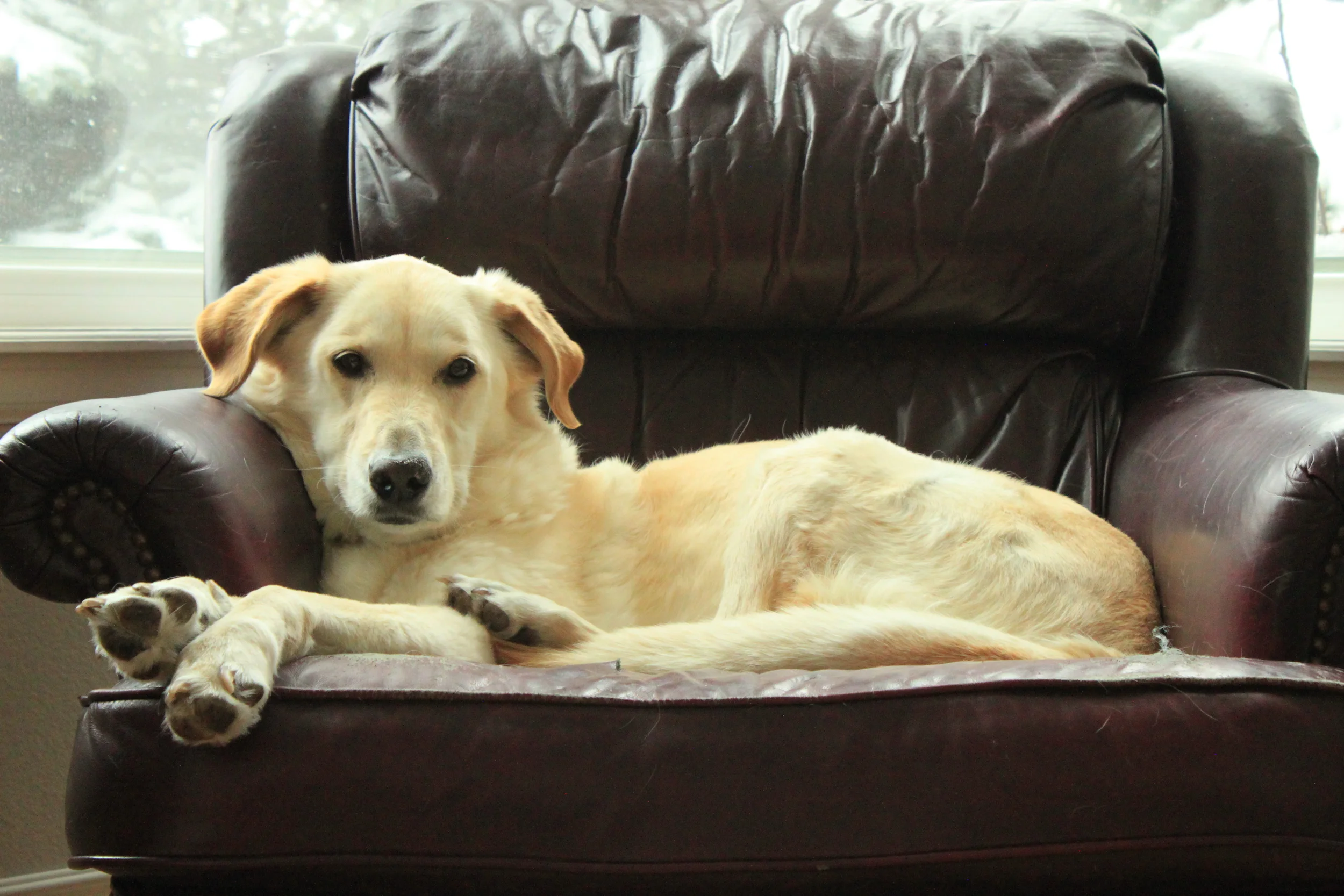 Love Changes Everything