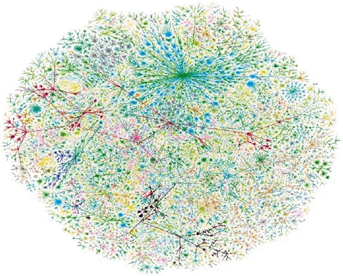 a visualization of the network structure of the Internet by Hal Burch and Bill Cheswick , courtesy of Lumeta Corporation.
