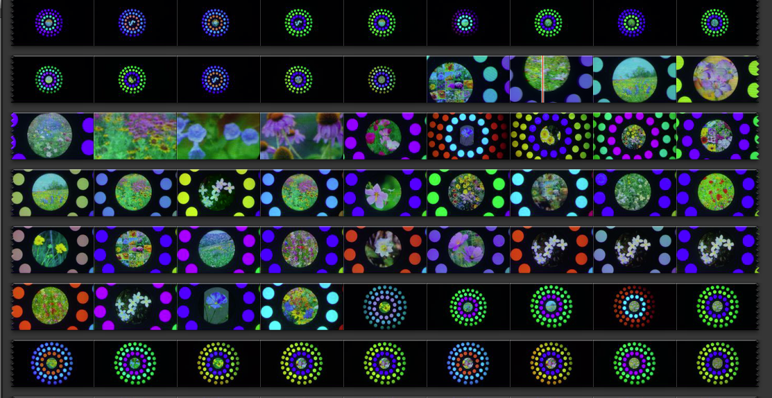 Screen Shot 2018-08-24 at 1.17.06 AM.png