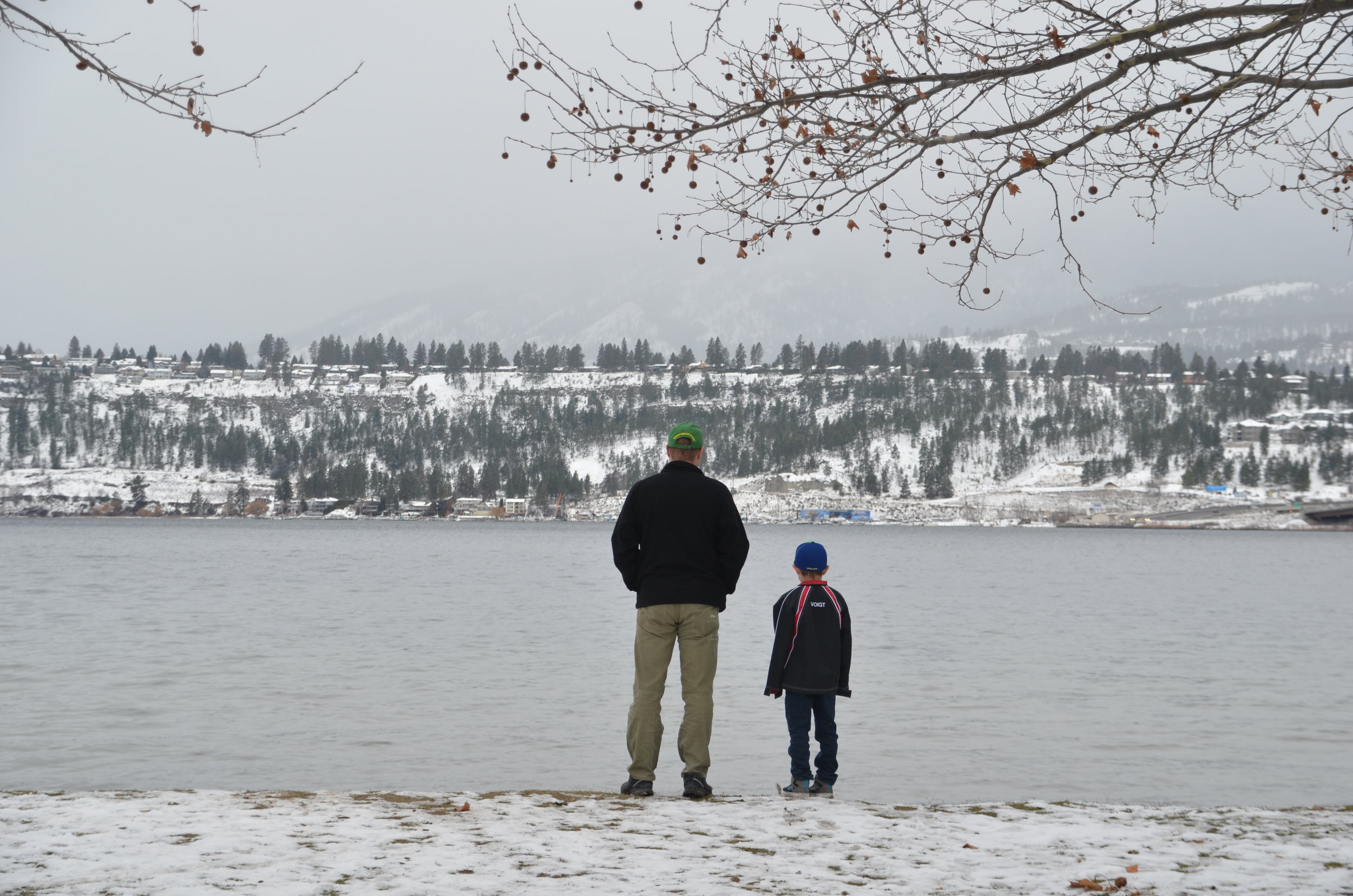 Kelowna at British Columbia, Canada