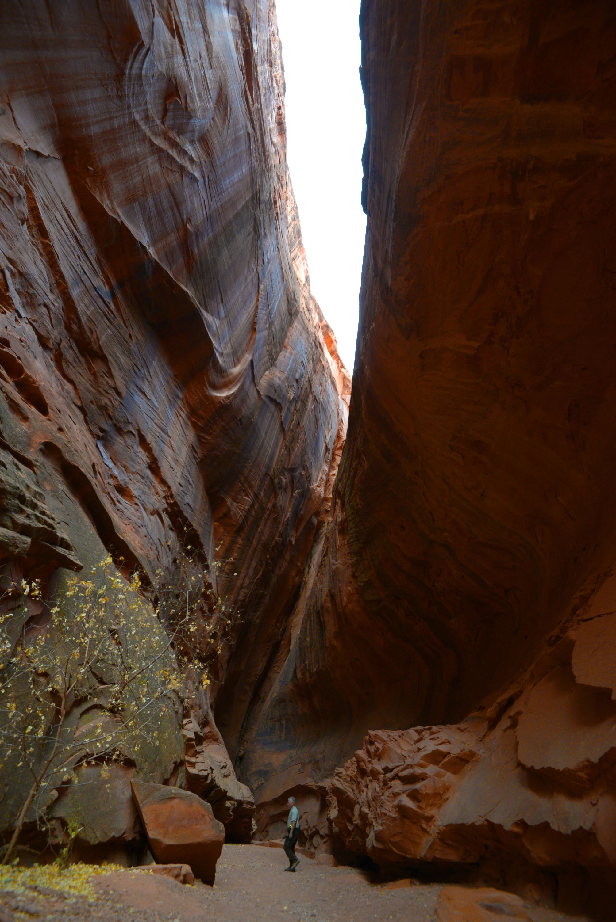 DSC_9581 copy.jpg