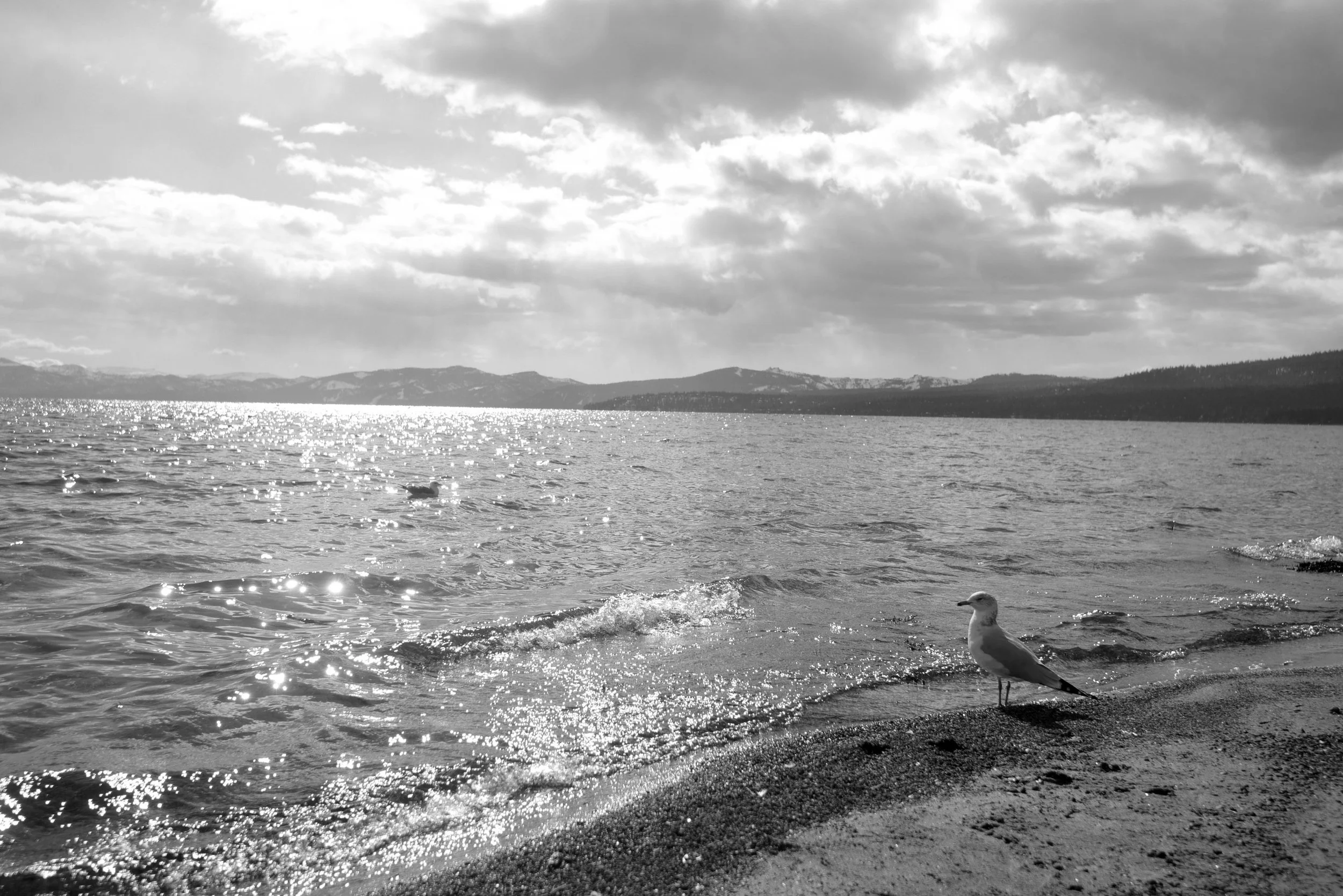 DSC_0300_b&w.jpg