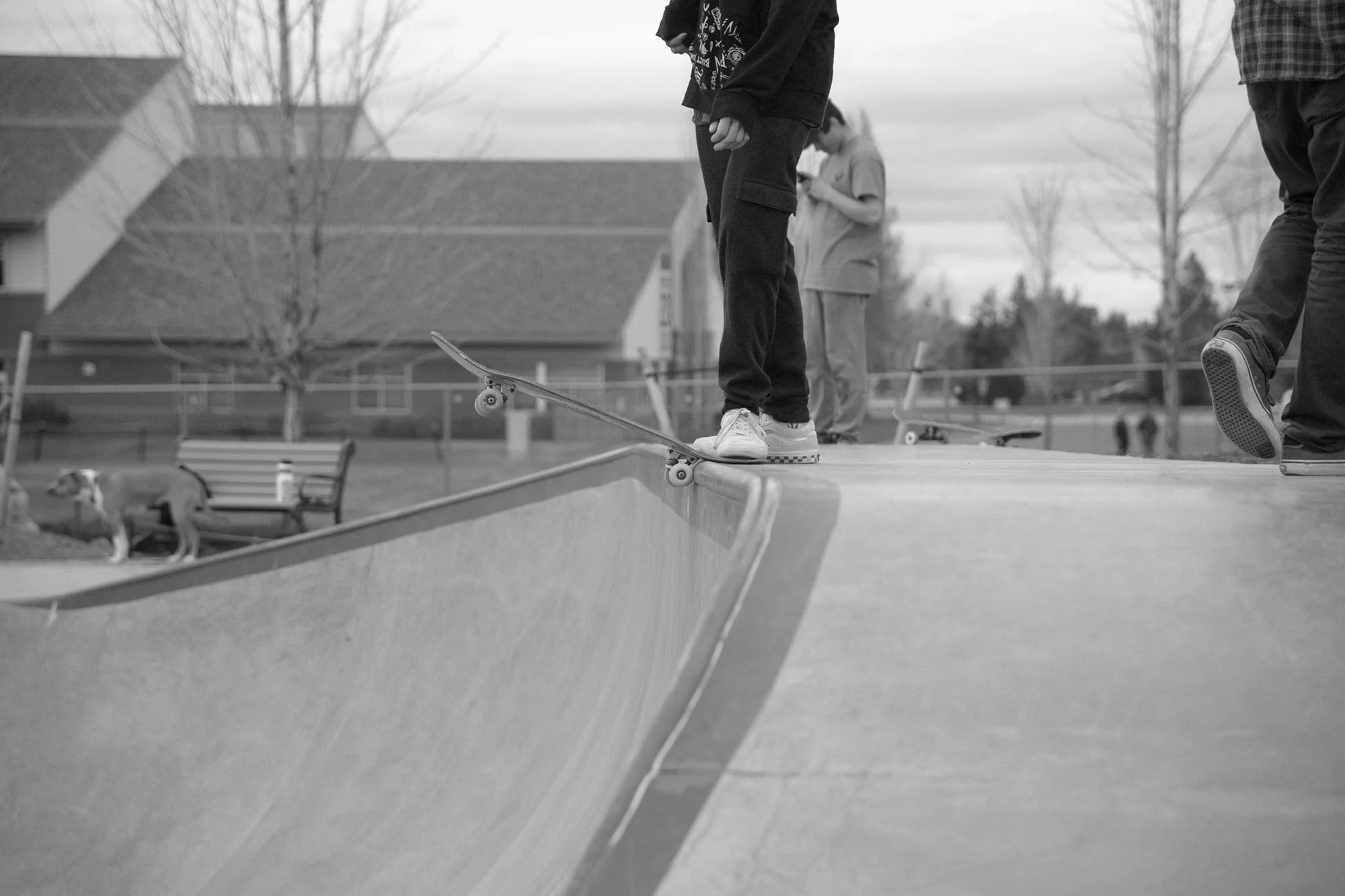DSC_6332_b&w.jpg