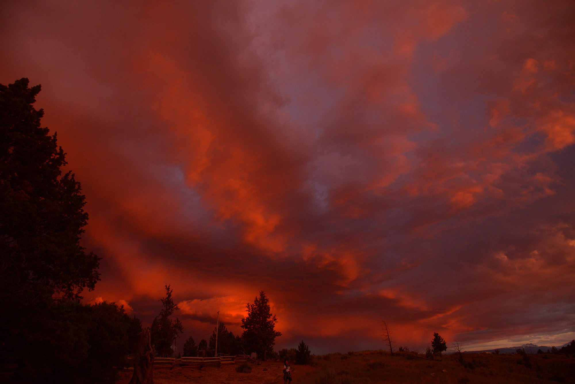 DSC_7701_edit.jpg