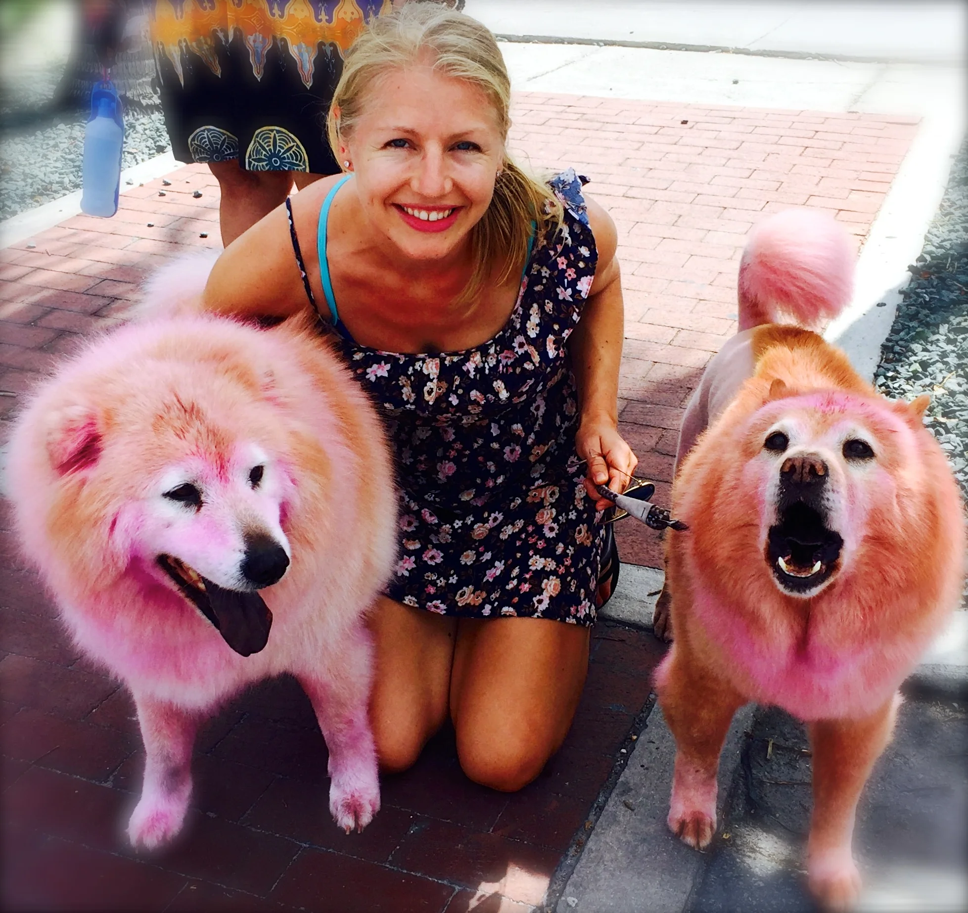 "Po" and "Dro", 15 year old furry sisters, rocking their pink do's in honor of breast cancer awareness month!