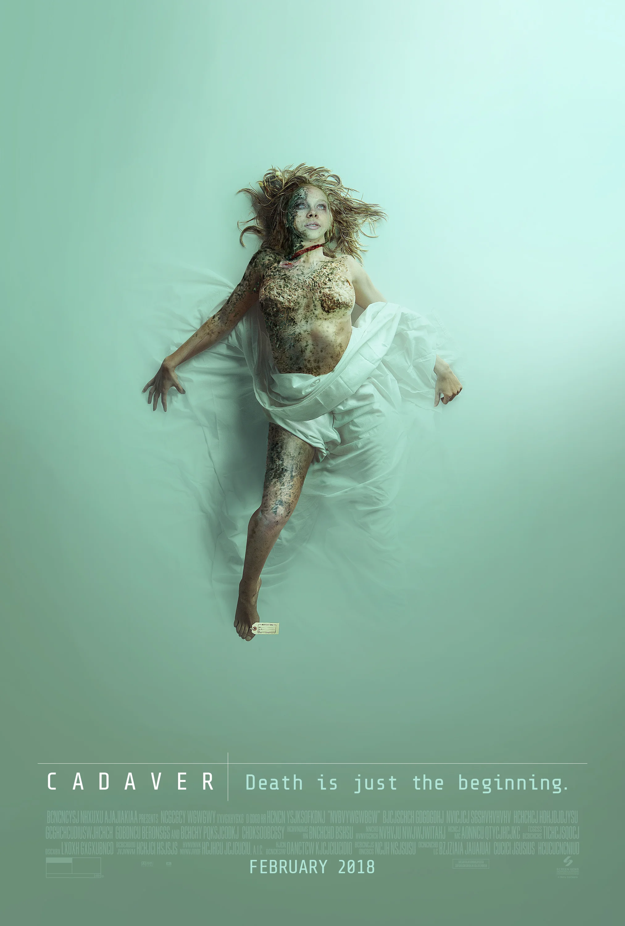 40782_Cadaver_1sht_MNM02.jpg