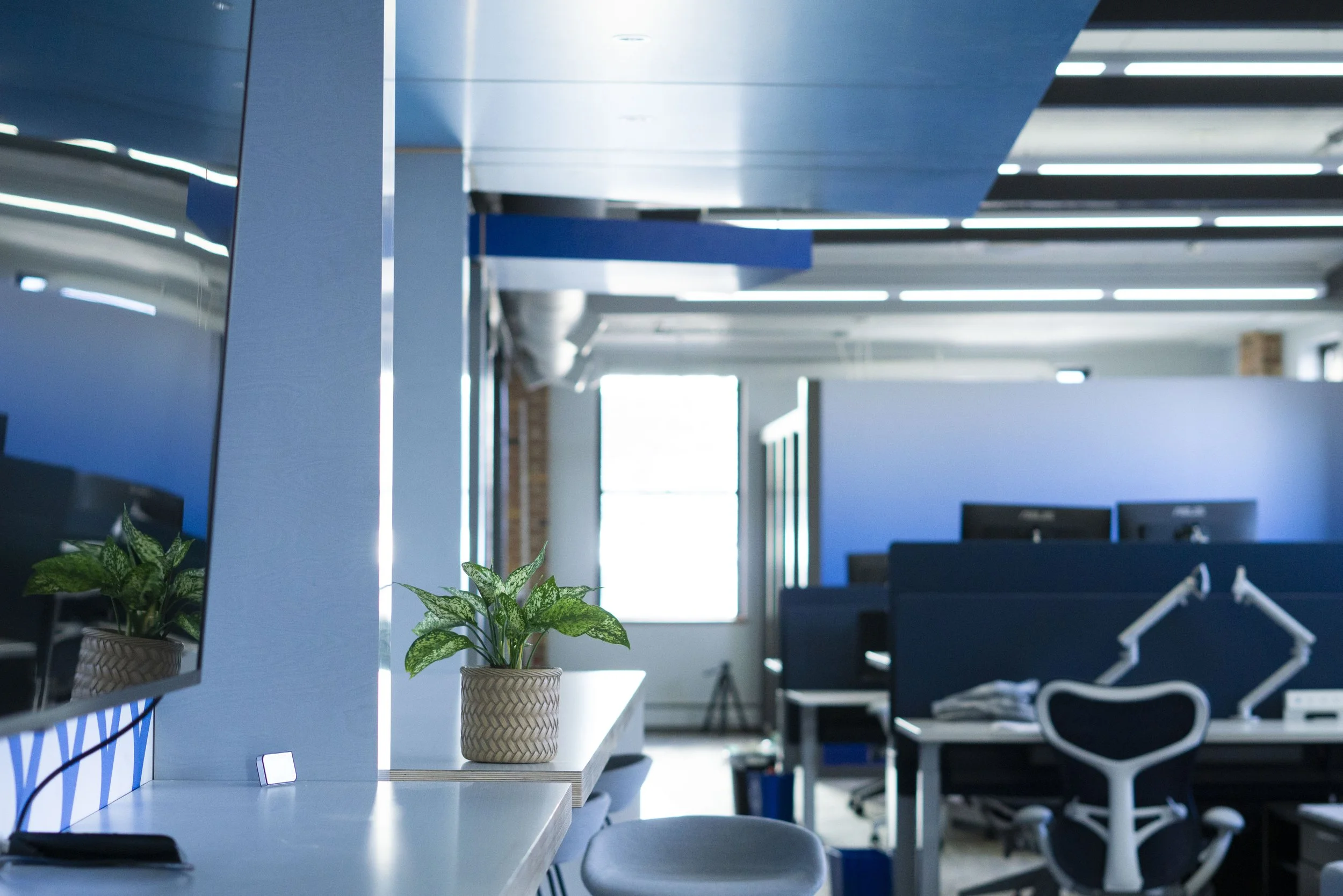 019_office wide_plant_walkway.JPG