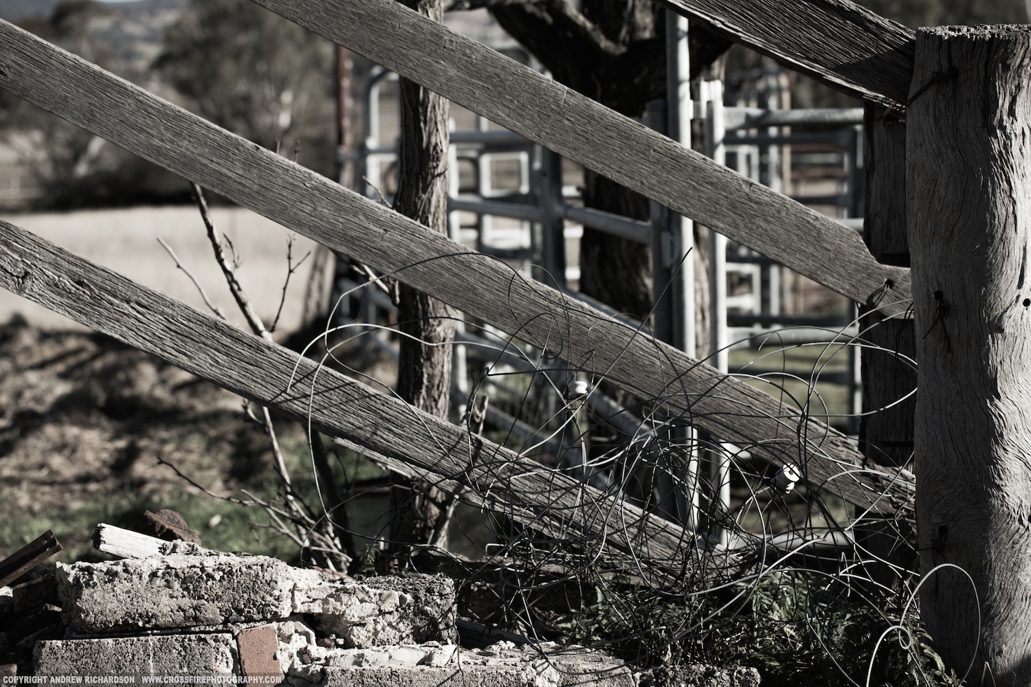 Elsmore5B2A0096LR.jpg