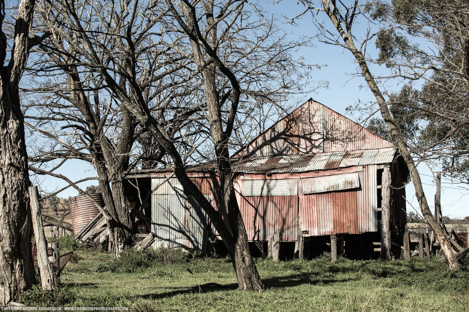Elsmore5B2A9981LR.jpg