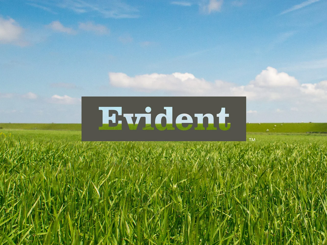 01-evident-hero.jpg
