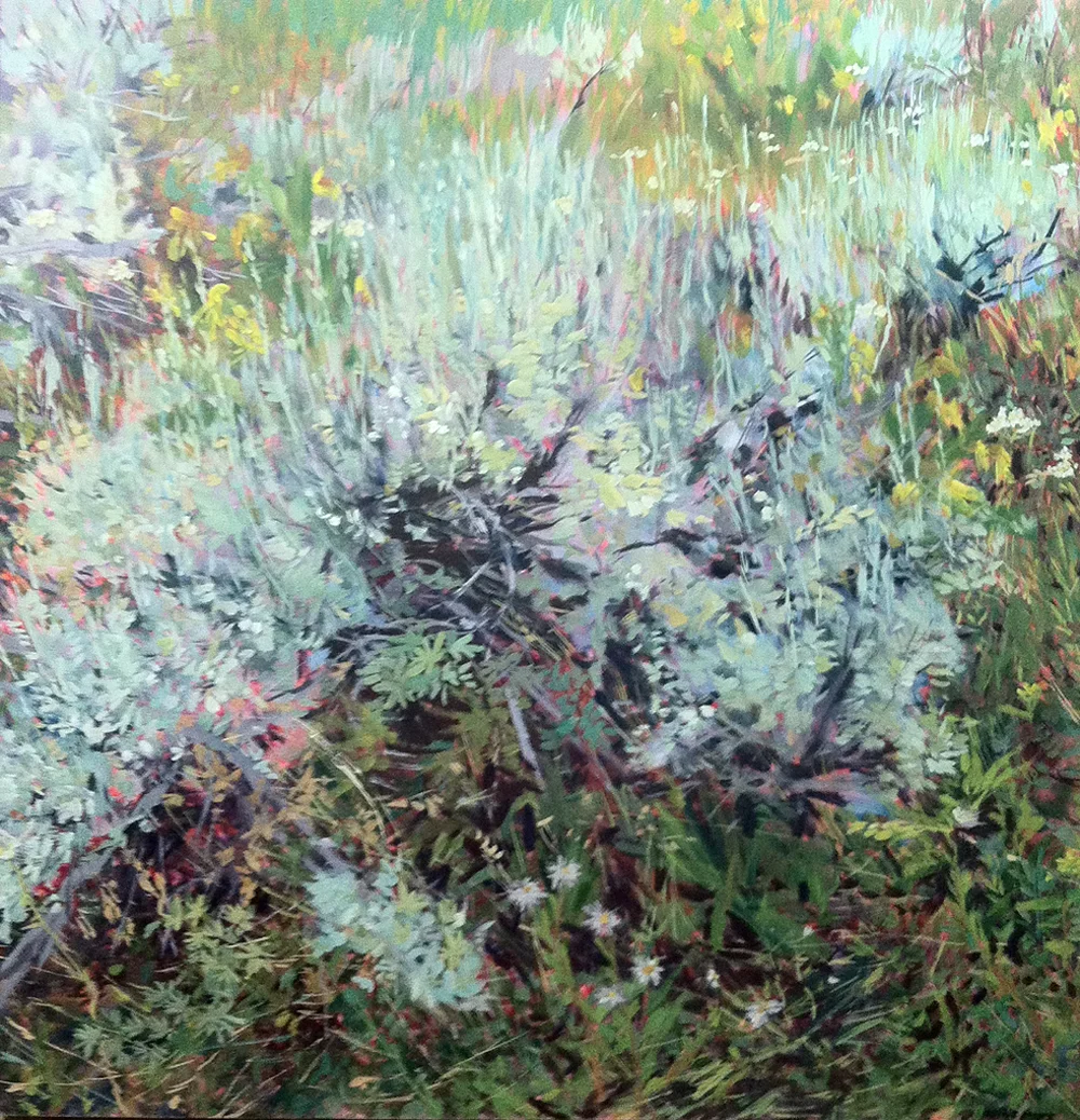 Catamount oil painting on canvas 48" x 48" 2015