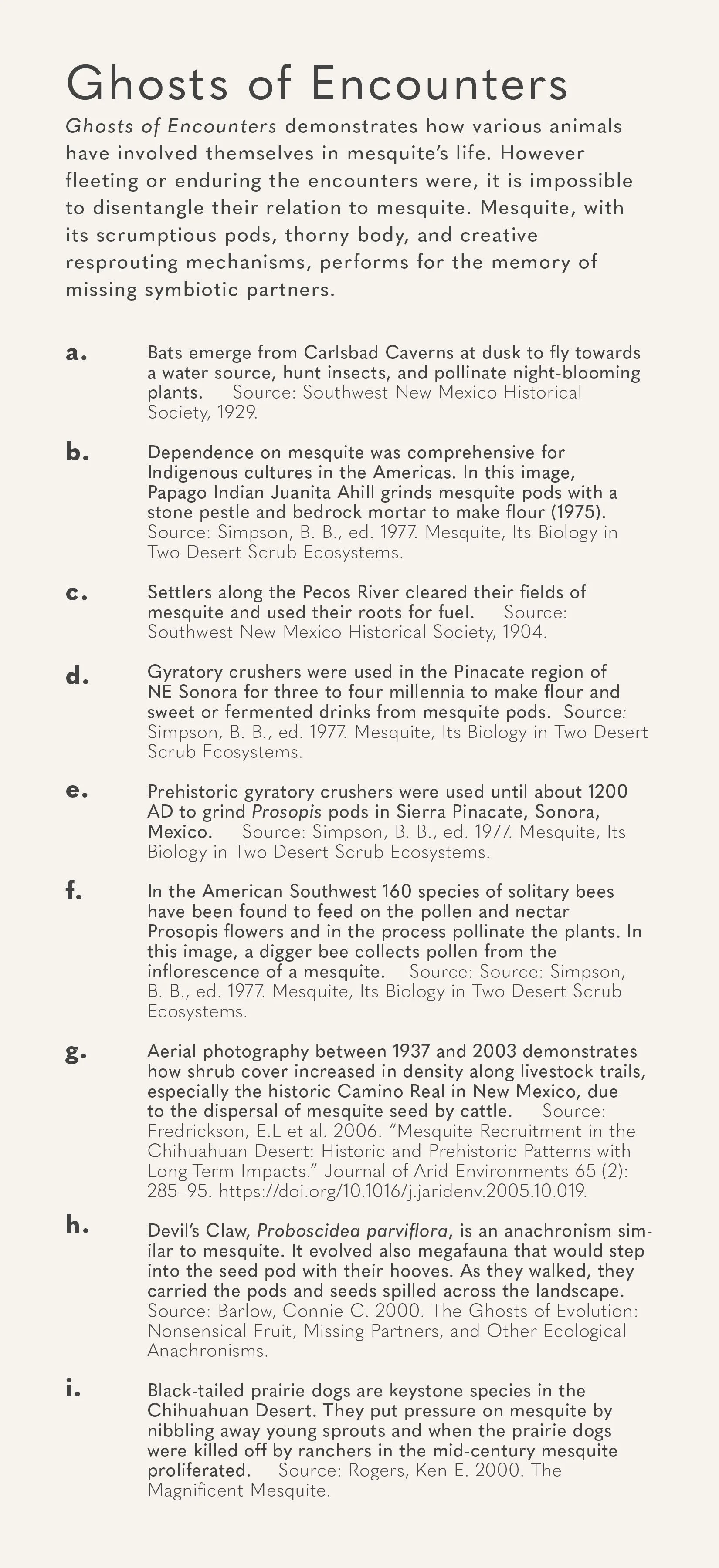 Story Map_ Ghosts of Encounters.jpg