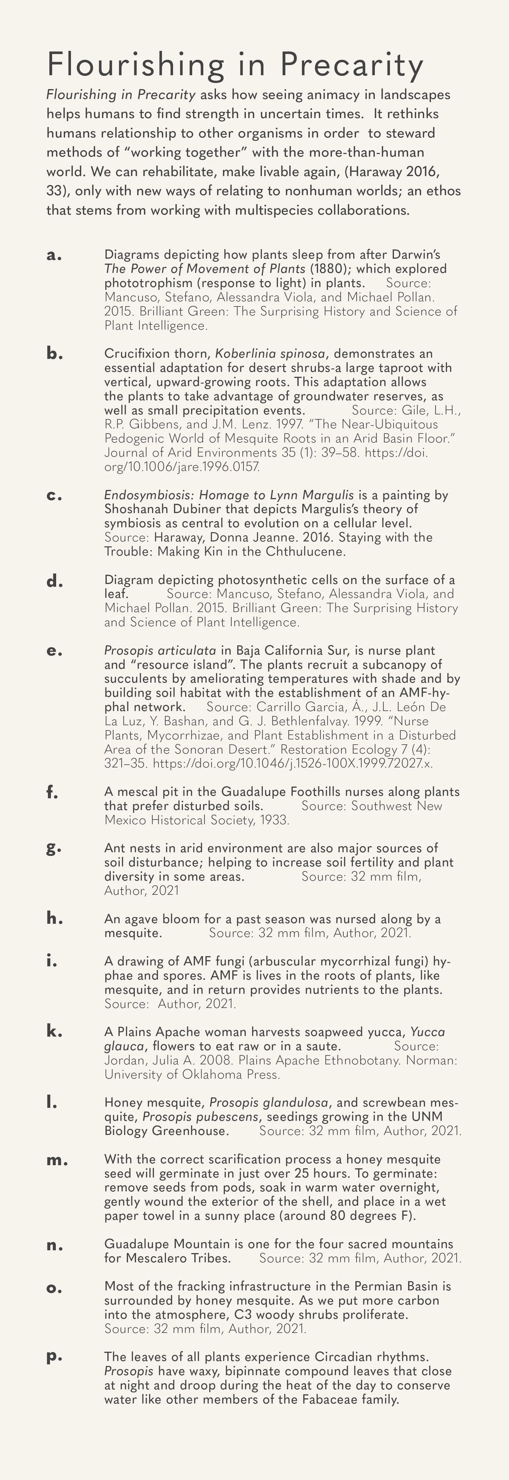Story Map_ Flourising in Precarity.jpg