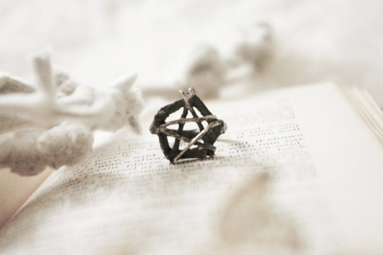 Mini Twig Pentacle Ring — Burial Ground