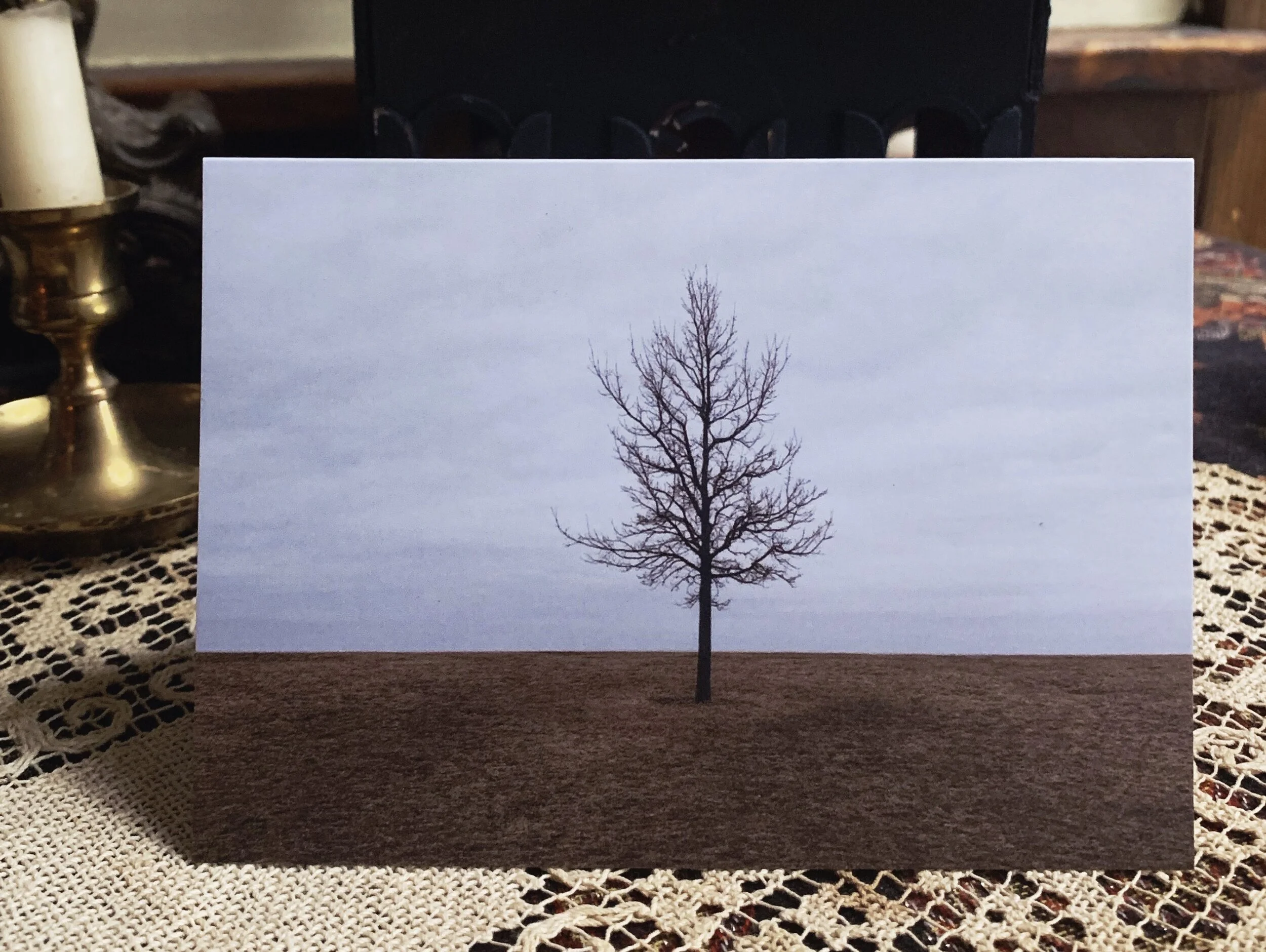 tree.jpg