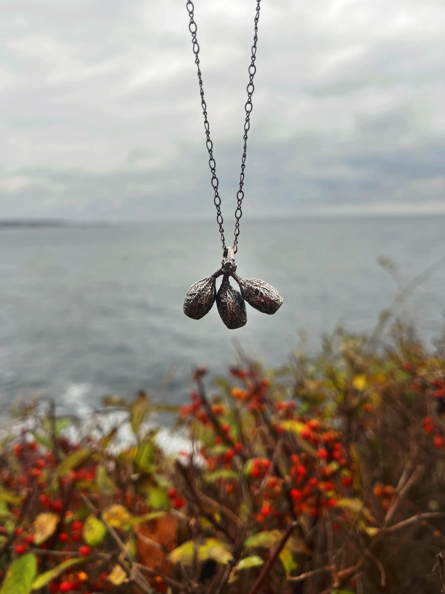 19297839-FCD6-4DDA-A704-4CD2D969AA51