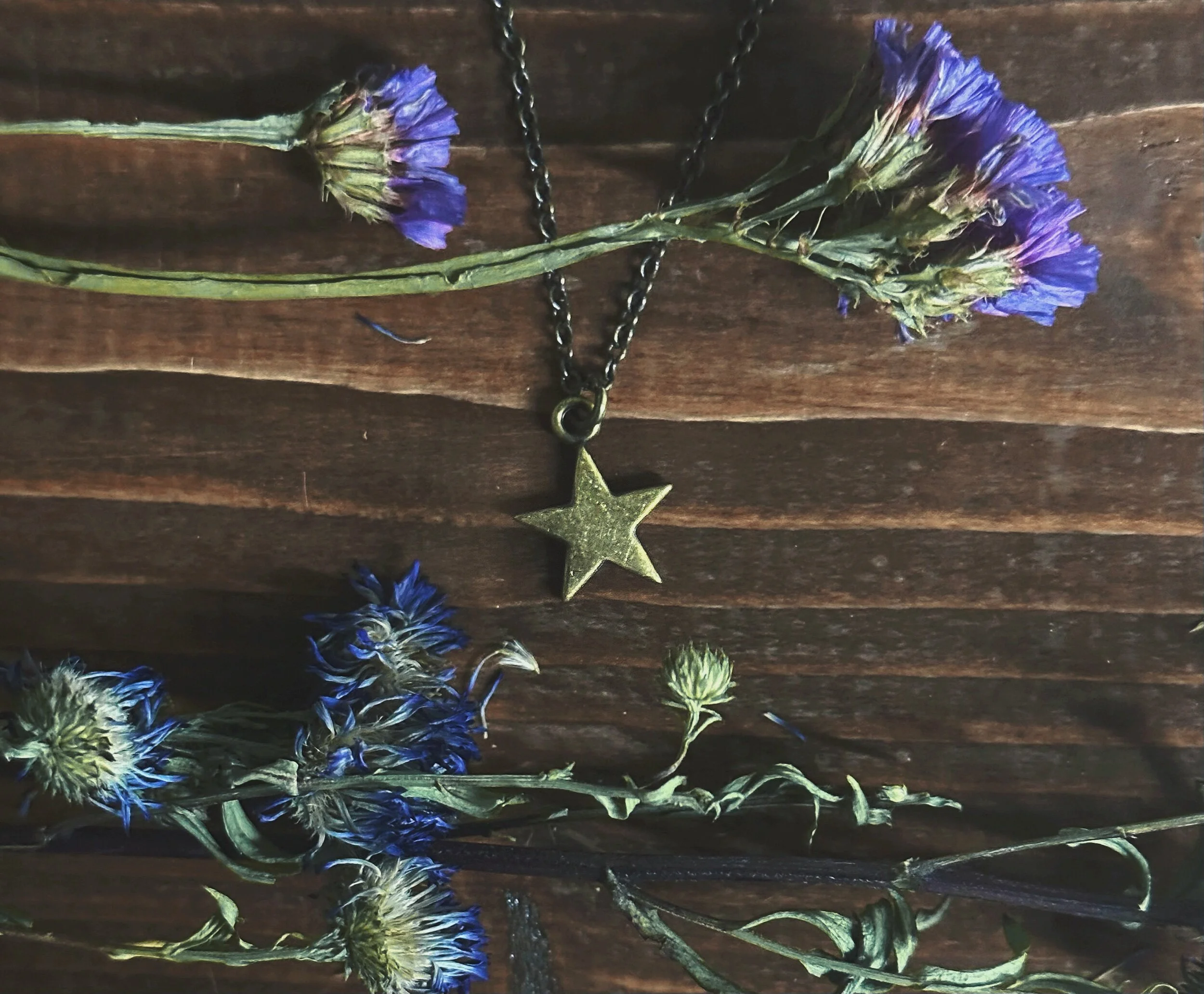 00E5CA74-097C-489E-AE60-0CFE0F7C8A62