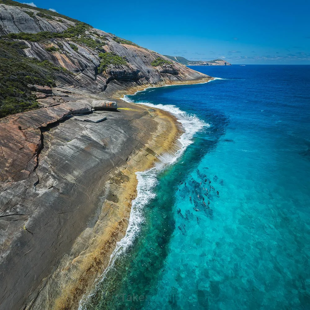 Dolphins at Isthmus Bay - Oct 2022 Torndirrup NP, Western Australia