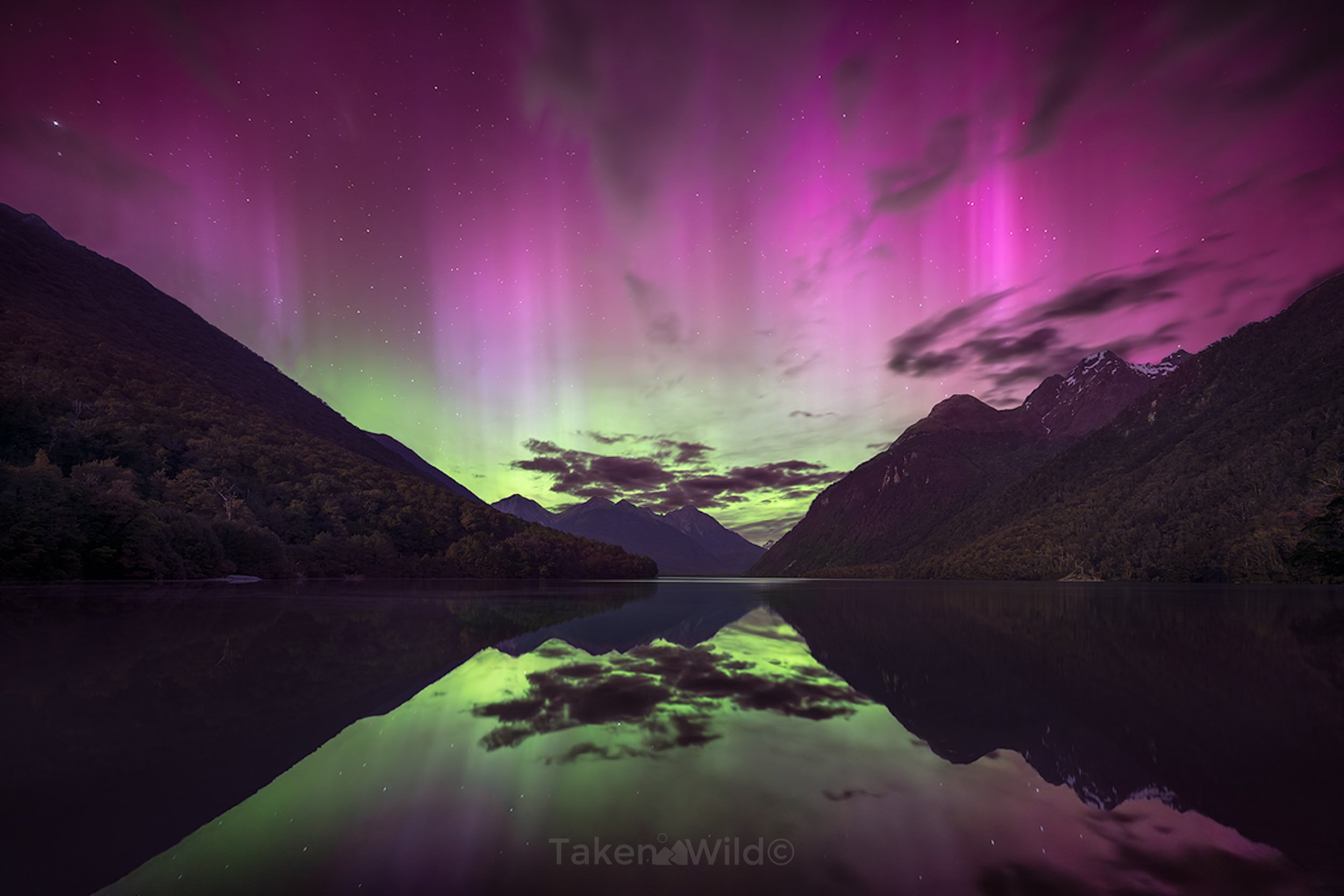  Aurora above Lake Gunn - Nov 2025   Fiordland, New Zealand 