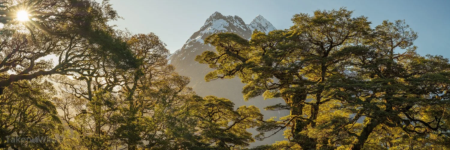  Fiordland Afternoon - Nov 2025  Fiordland, New Zealand 