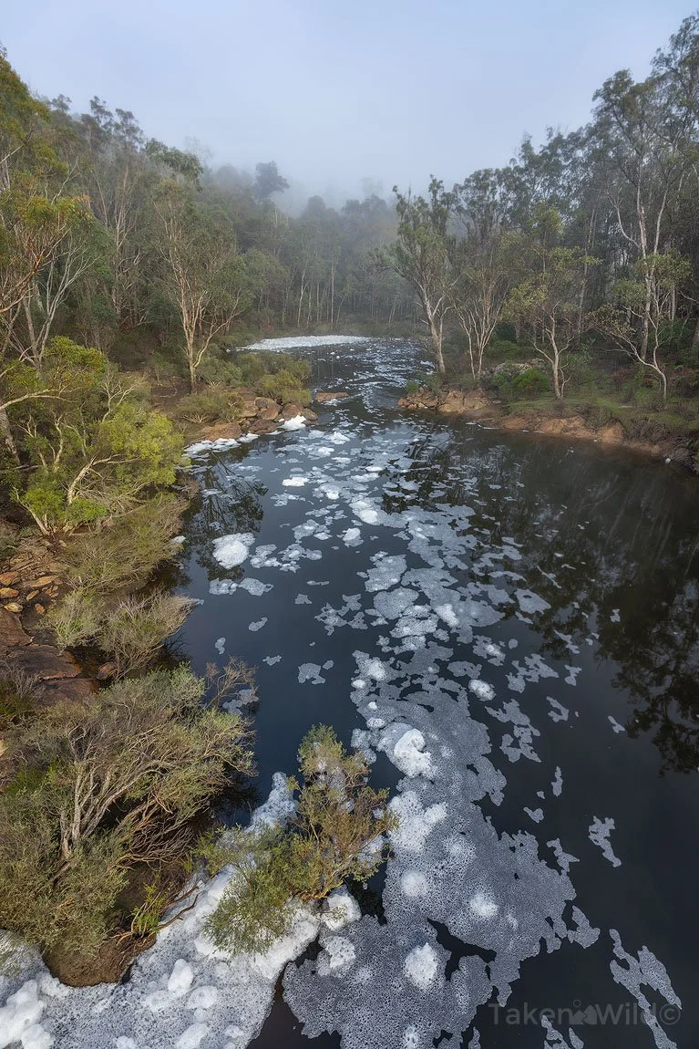 Dwaarlindjirraap Bridge View - June 2024  Dwellingup, Western Australia 