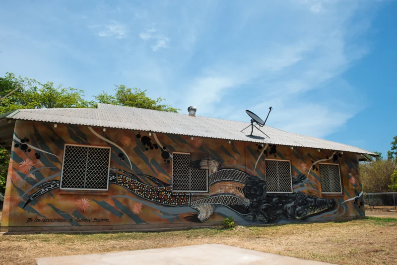 BagotCommunityDARWIN15.jpg