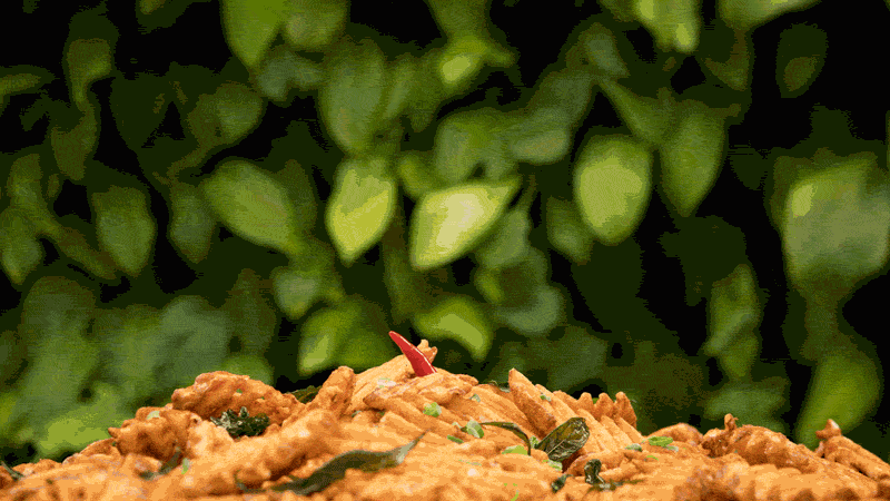LOOF-CRAB-LR.gif