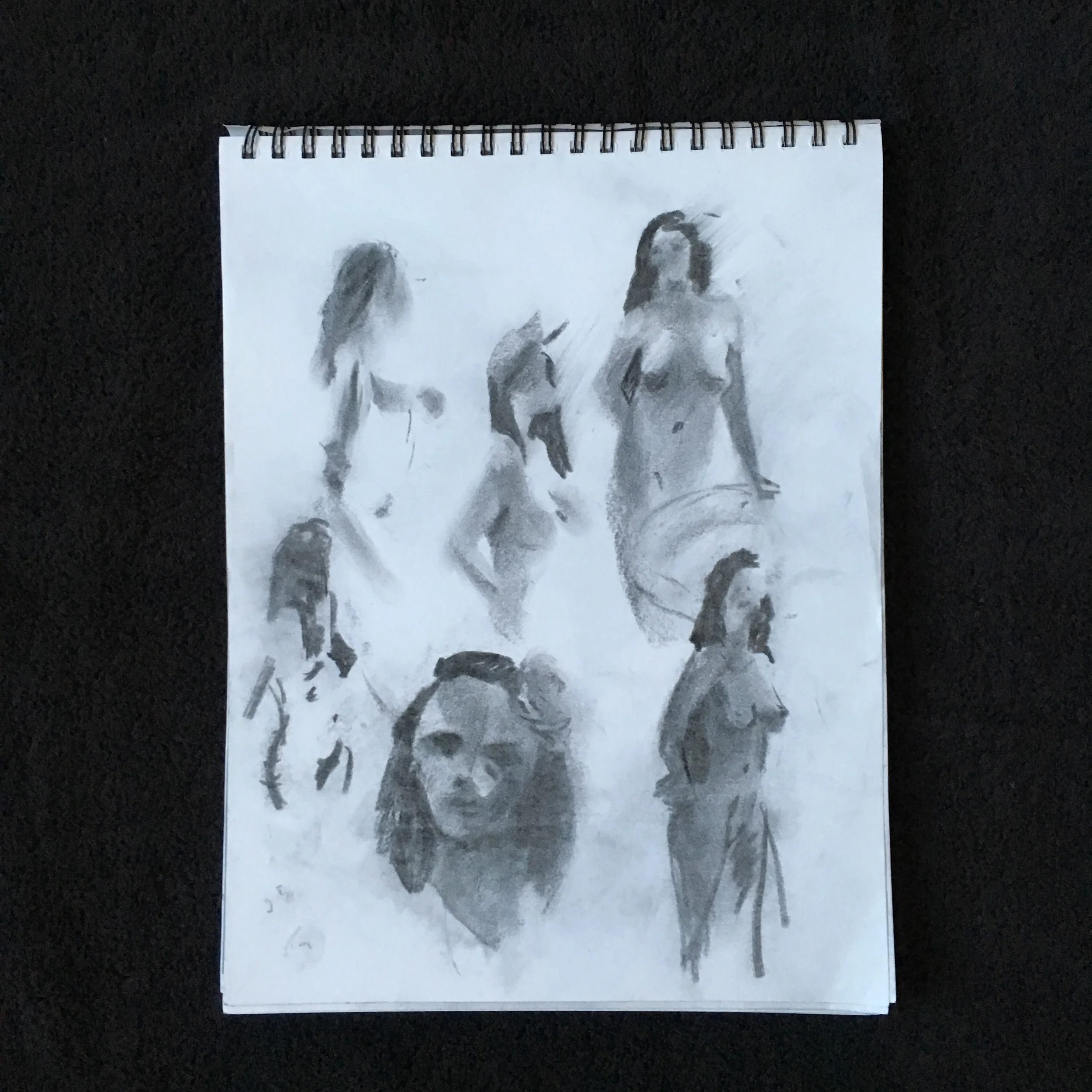 2015-11-20 15.57.03-1.jpg