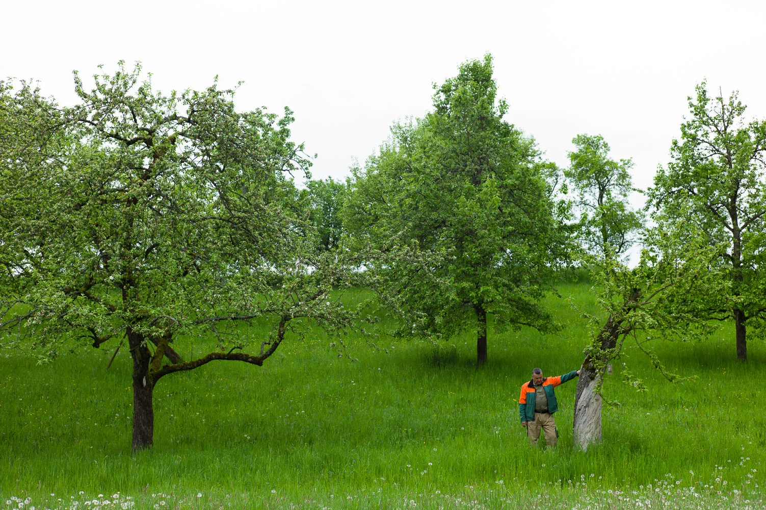 KAHRMANN_18_1076660.jpg