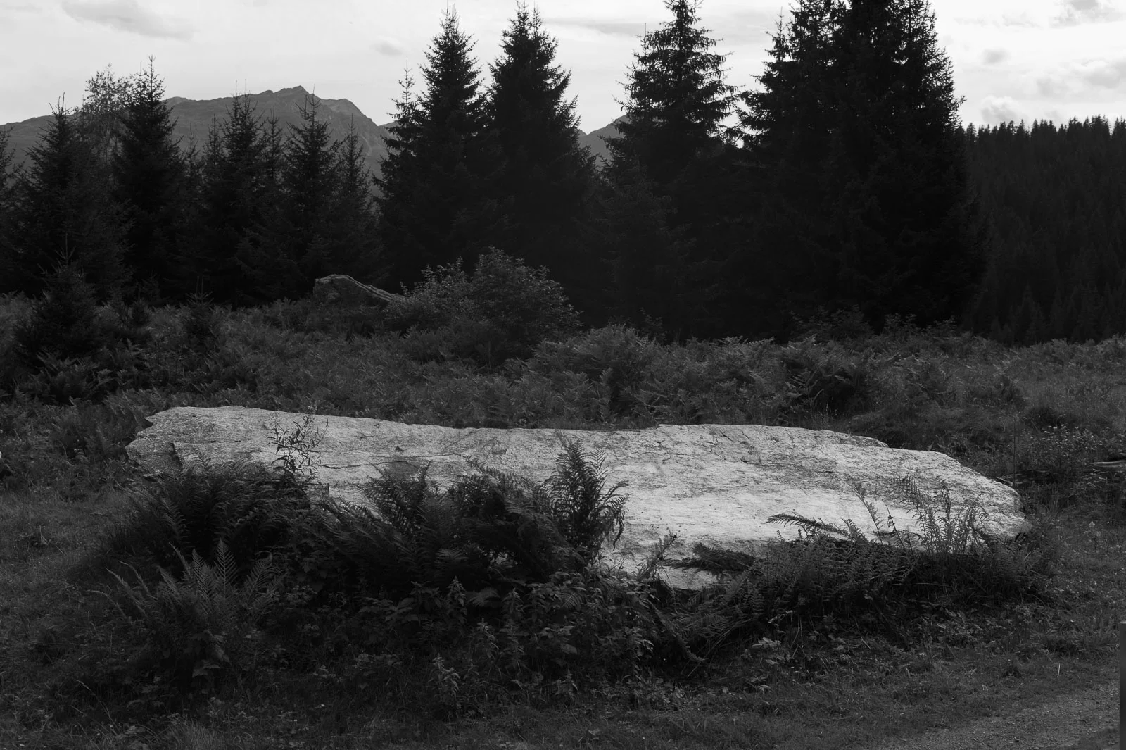 KAHRMANN_10_1081378.jpg