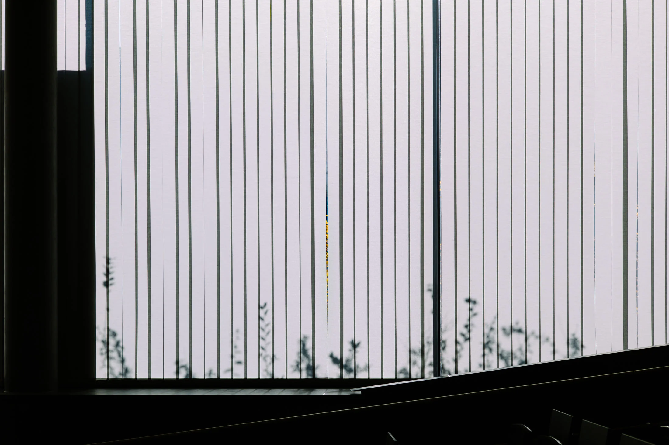 KAHRMANN_L1125125.jpg