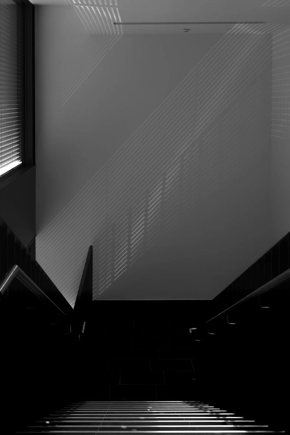 KAHRMANN__DSC6605.jpg
