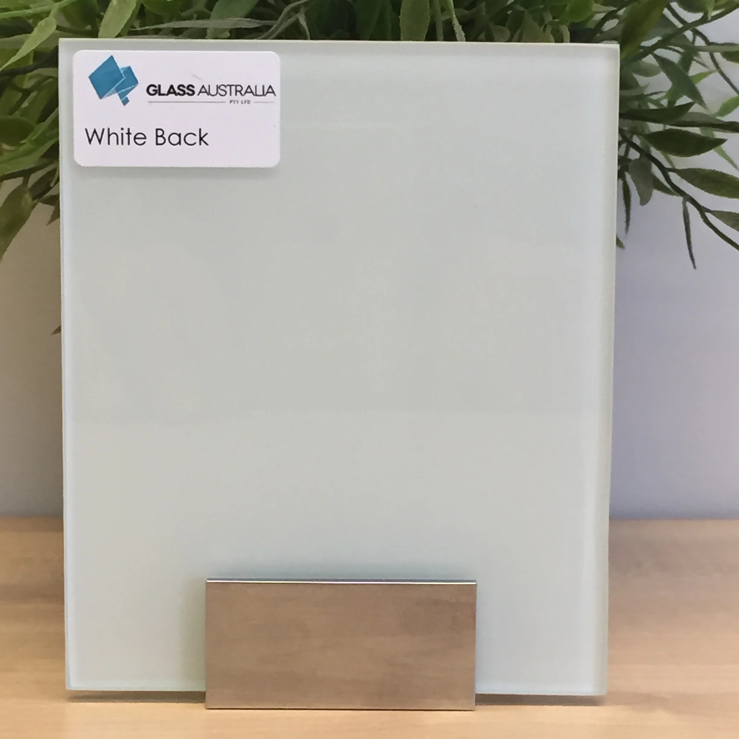 White Back.jpg