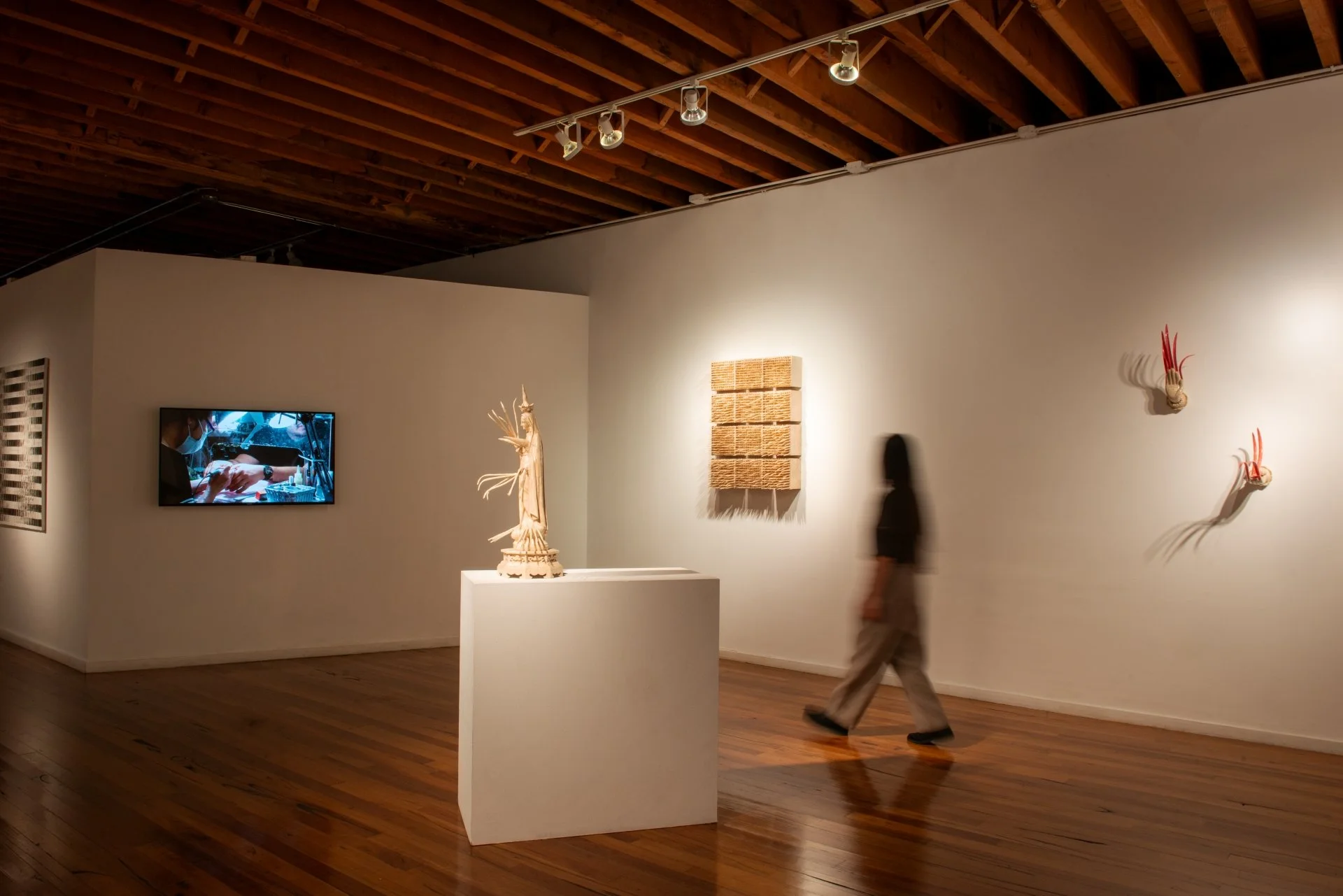 Ornamentalism_2023.jpg