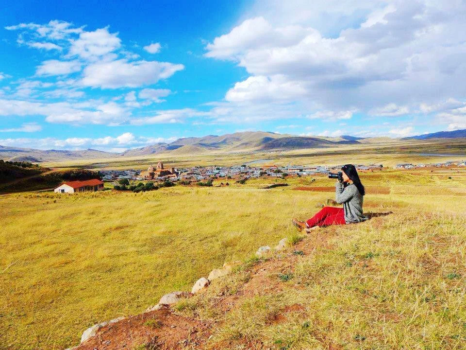 沈诞奇 X 《自由的老虎》作者