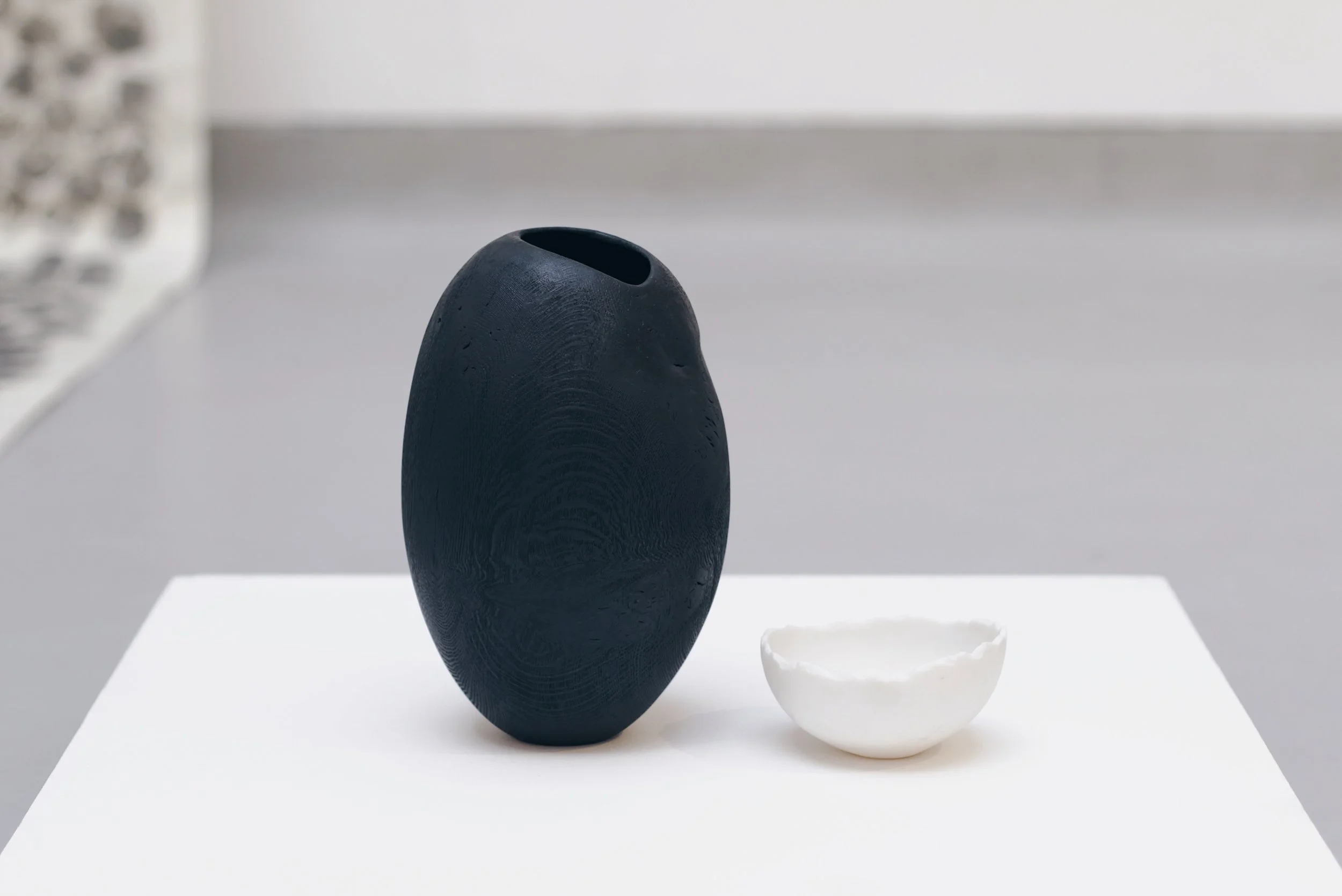 Alexander Devol - Cocoon vessel and Bark Bowl.JPG