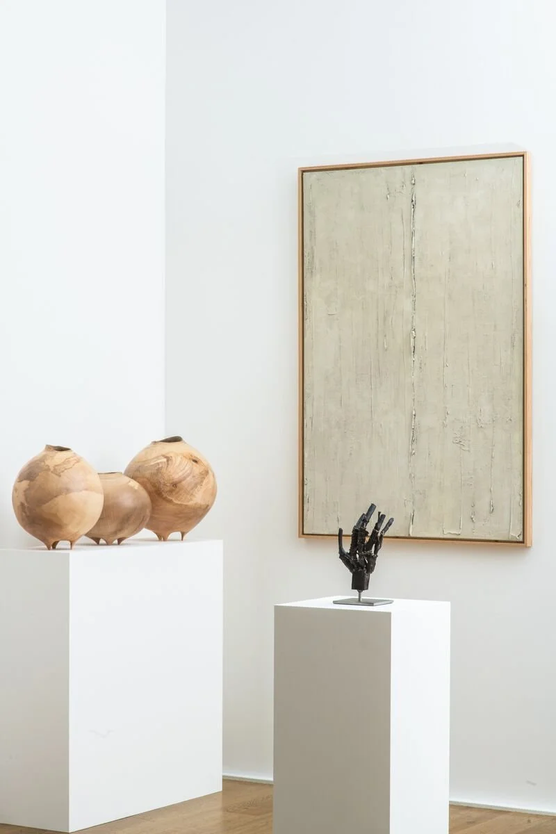 lowres jpg 72dpi-8. Beyond Nature Installation view 2022.jpg