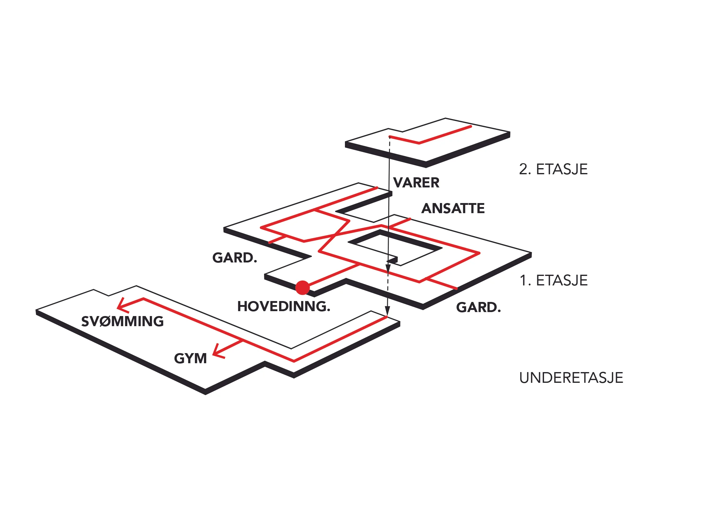 Diagram sirkulasjon