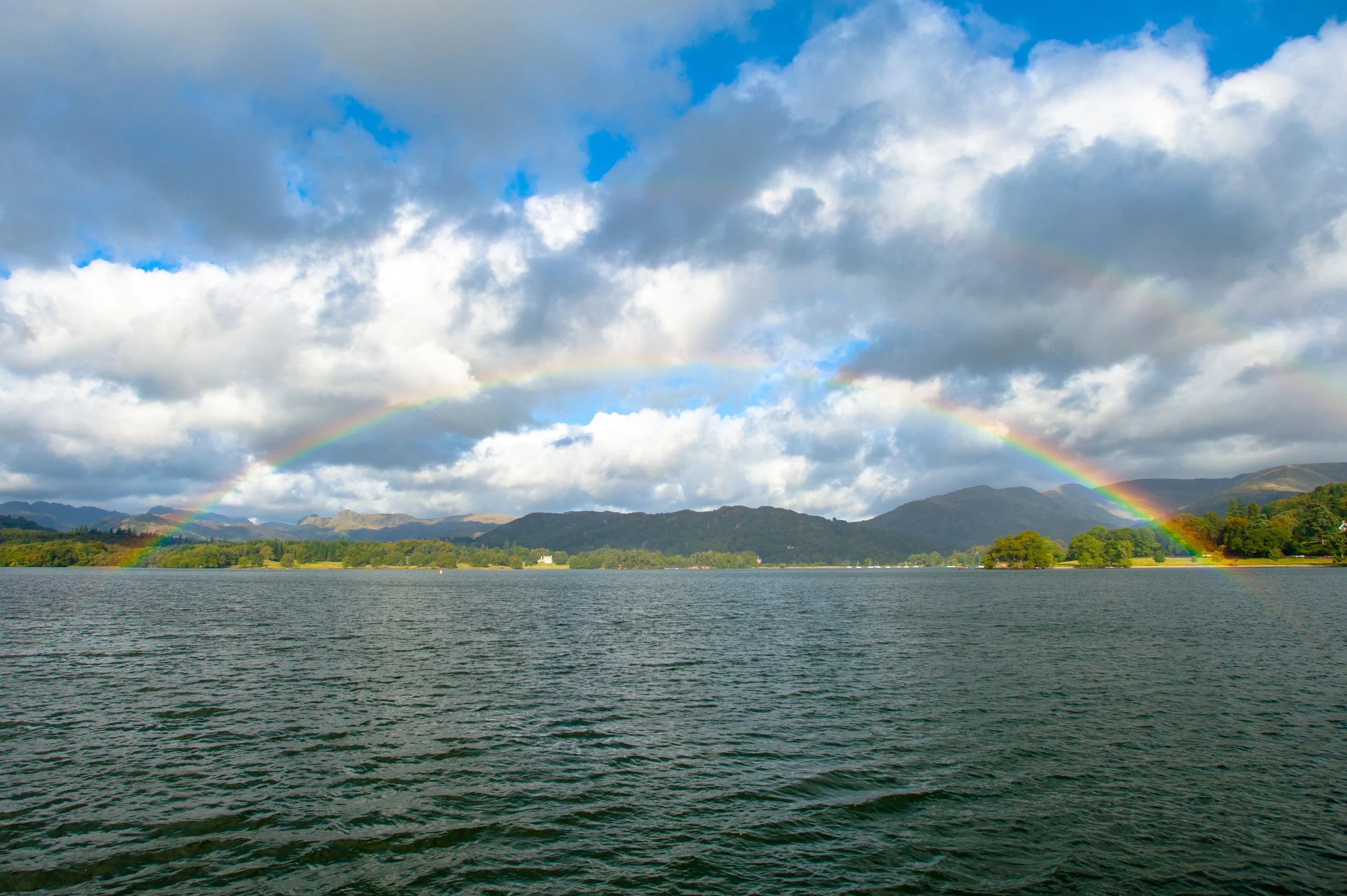 DSC_6690.JPG