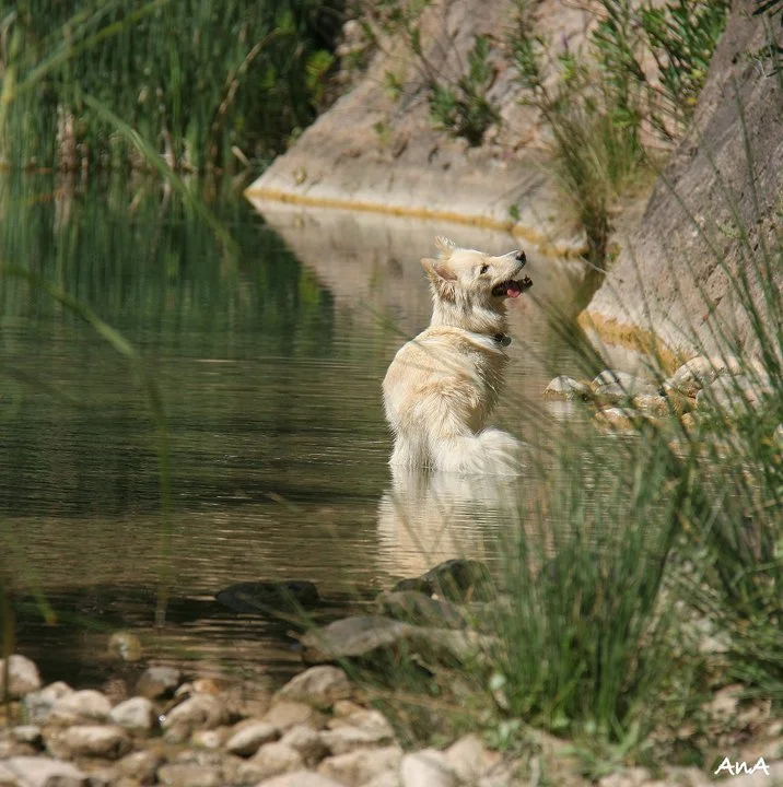 Samy refrescándose