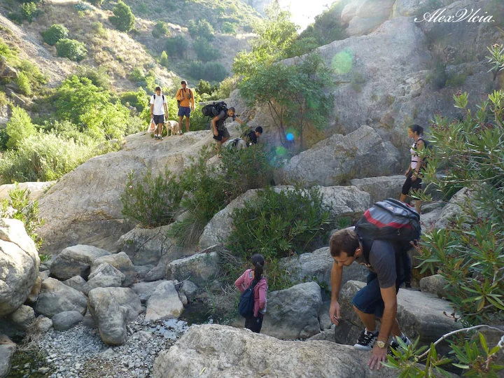 Ahora que vamos de excursión...