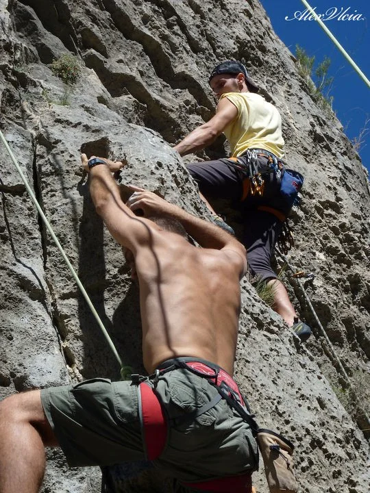 Montando Ovejo virgen 6a+ de nuevo, ahora en top