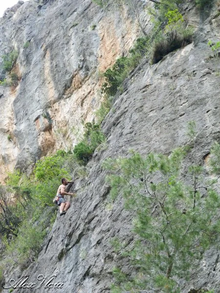 Hell Boy 6a: mucha flora...