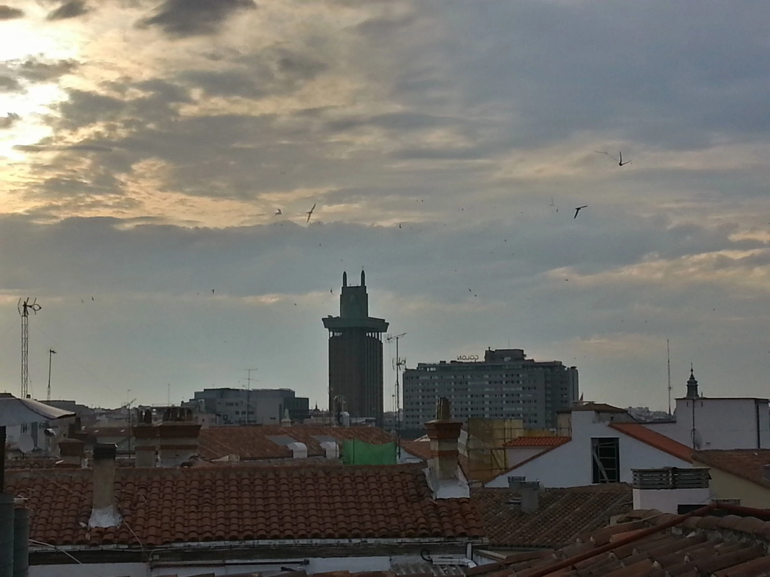 20150610_080140_HDR.jpg