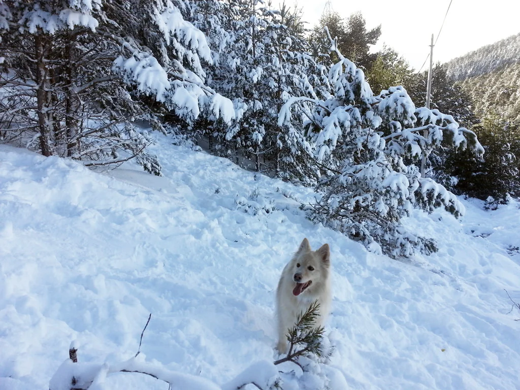 20160219_162209_HDR.jpg