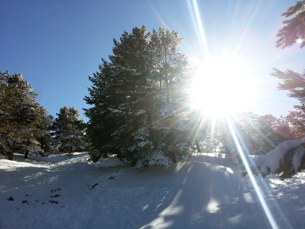 20160219_162405.jpg
