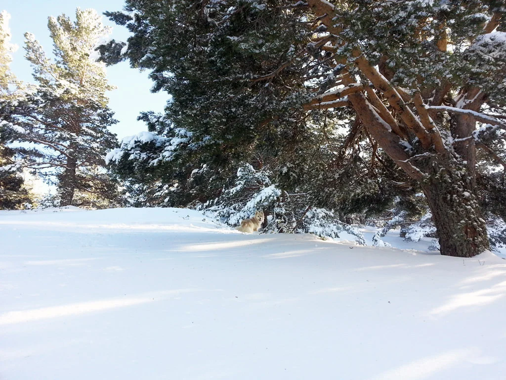 20160219_170238.jpg